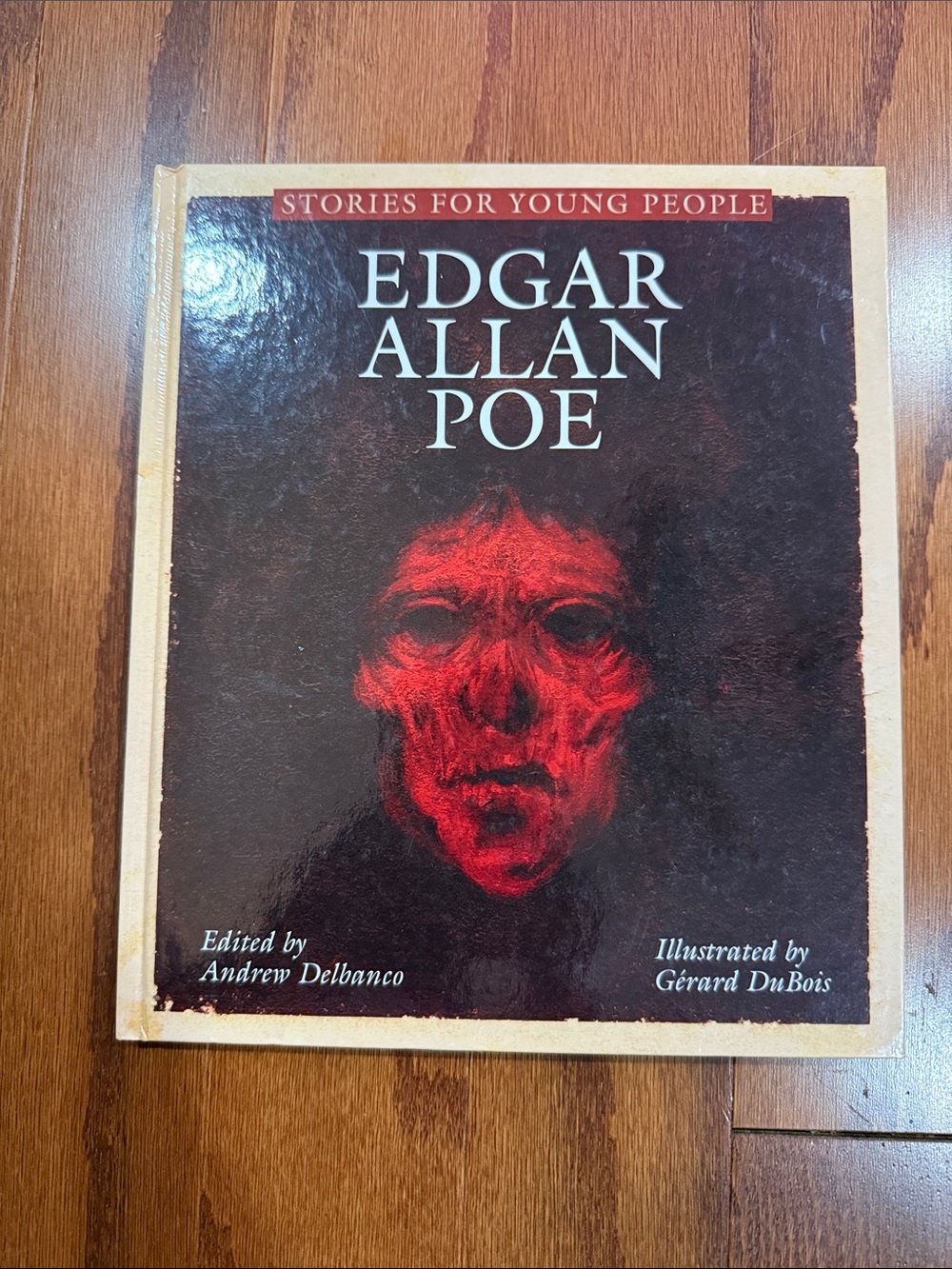 Edgar Allan Poe Stories for Young People Illustrated Gothic Hardcover 2006